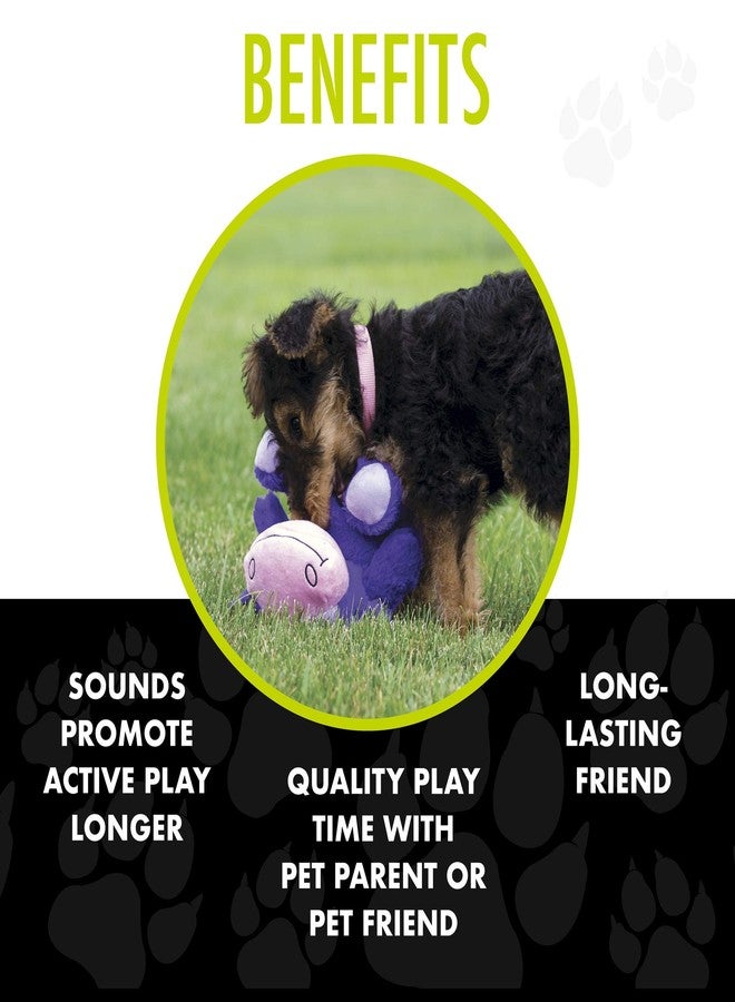 هيرو - تشاكلز بيليز - لعبة دب قوس قزح القطيفة للكلاب - ألعاب كلاب تصدر صوتاً - حيوان محشو متين مع صفارة 3 في 1 - Image 5